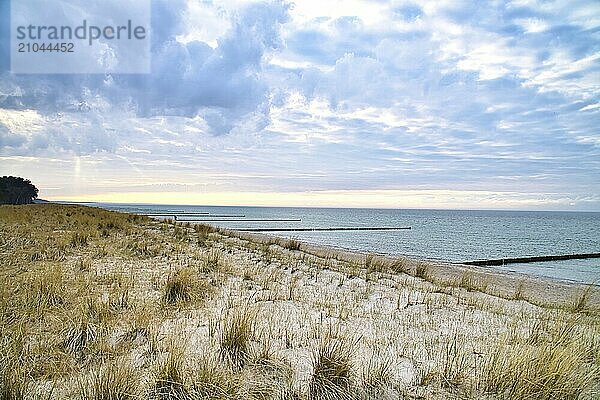 View over the dunes to the Baltic Sea at sunset. Vivid colors in the sky. Dune grass  beach  sand and groynes. Landscape photography