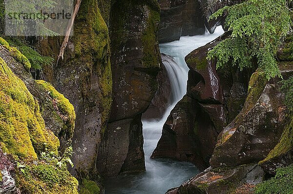 Long exposure of the Avalanche Creek in the Glacier National Park in Montana Usa