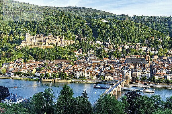 View of the Neckar River Castle and Old Bridge in Heidelberg  Germany  Europe