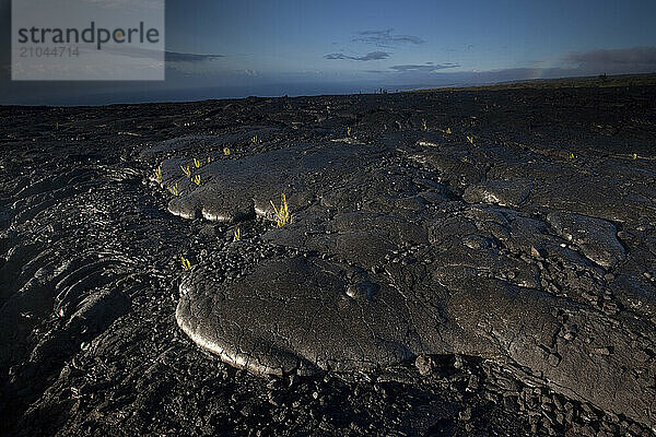 Old lava flows in Volcano National Park blanket the landscape.