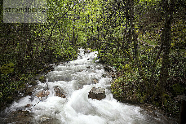 Valcarlos Route on the Camino de Santiago  Spain