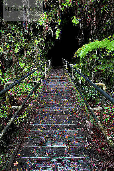 Sunrise on lava  Volcano National Park  Big Island  Hawaii