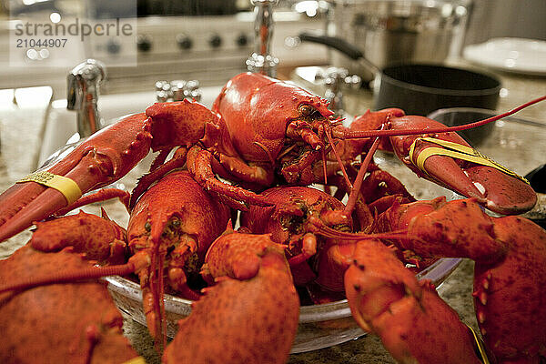 Cooking lobsters in Maine