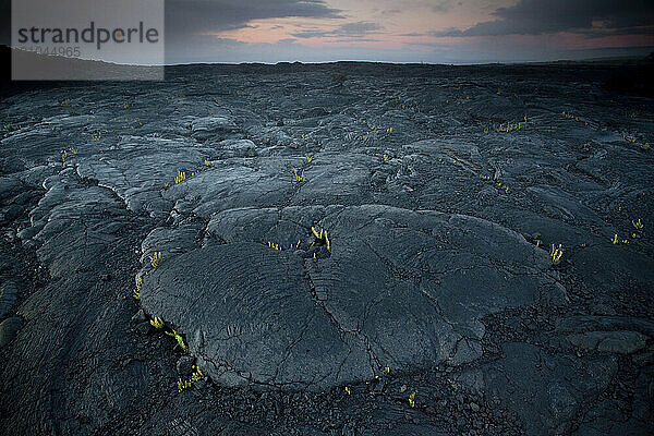 Lava in Volcano National Park  Hawaii