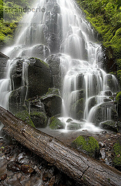 Fairy Tale Falls  Columbia River Gorge  Oregon