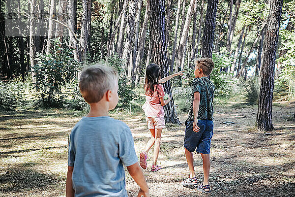 Three kids playing in the forest