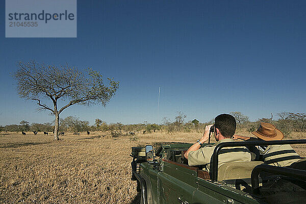 Two guides in South Africa driving through the bush.