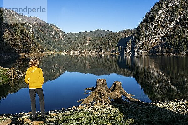 Der Vordere Gosausee im Herbst mit Blick auf den Gasthof Gosausee. Eine Wanderin steht am See. Rechts zwei entwurzelte Baumstümpfe. Spiegelung. Blauer Himmel  gutes Wetter. Vorderer Gosausee  Gosau  Gosautal  Salzkammergut  Oberösterreich  Österreich  Europa