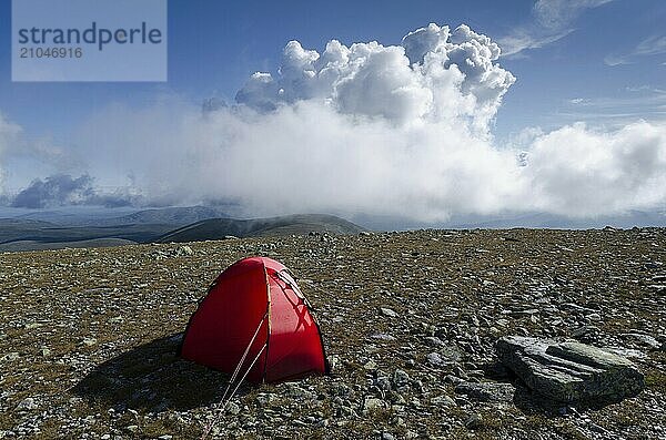 Zelt im Engerdalsfjellet mit Blick auf den Berg Rendalssölen  Hedmark Fylke  Norwegen  Biwak  Hedmark  Norwegen  Europa