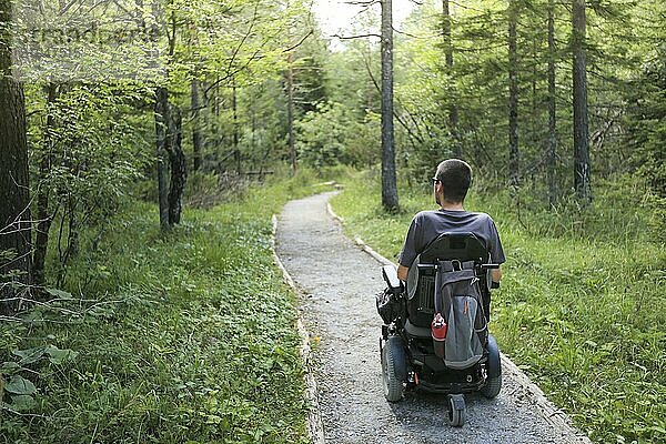 Glücklicher Mann im Rollstuhl in der Natur. Erkundung der Waldwildnis auf einem zugänglichen Feldweg