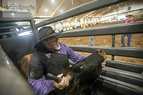 Oklahoma City  Oklahoma  Das Great Plains Rodeo  ein jährlich stattfindendes Rodeo für Schwule und Lesben  bei dem traditionelle Rodeo Wettbewerbe ausgetragen werden und gleichzeitig die Kameradschaft der LGBTQ Gemeinschaft im Vordergrund steht. Beim Chute Dogging versucht ein Teilnehmer  einen Ochsen zu Boden zu reißen