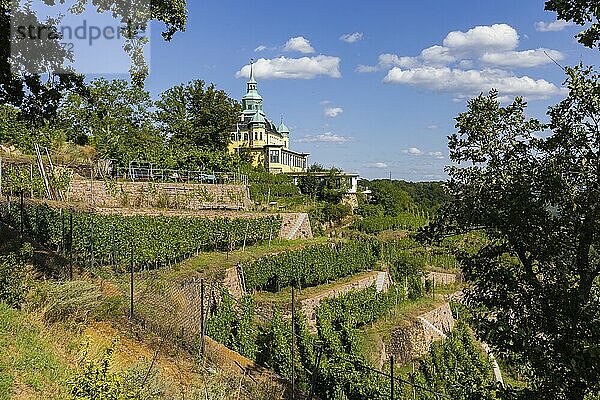 Weingut am Goldenen Wagen. Das Spitzhaus ist ein ehemaliges Lusthaus in der sächsischen Stadt Radebeul. Das weithin sichtbare Gebäude liegt auf der Hangkante des Elbtalkessels über der Hoflößnitz im Stadtteil Oberlößnitz. Das denkmalgeschützte (1) Wahrzeichen Radebeuls in der Spitzhausstraße 36 dient auch nach der Sanierung und Wiedereröffnung im Jahr 1997 als Ausflugsgaststätte mit einem weiten Ausblick über das Elbtal und bis nach Dresden.  Weinhänge in Radebeul  Radebeul  Sachsen  Deutschland  Europa