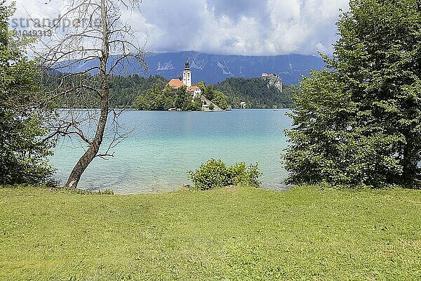 Bleder See Slowenien. Schöne Bergsee im Sommer mit kleinen Kirche auf einer Insel mit Schloss auf Klippe und europäischen Alpen im Hintergrund