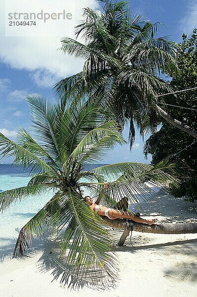 Junge Frau in weißer Bikini liegt entspannt auf schräg gewachsener Stamm von Kokospalme (Cocos nucifera) an Strand von Malediveninsel in Indischer Ozean  Malediven  Asien