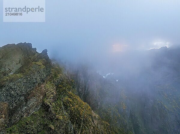 Ein in Nebel und Wolken gehüllter Berg mit blühenden Cytisus Sträuchern. In der Nähe von Pico de Arieiro  Insel Madeira  Portugal  Europa