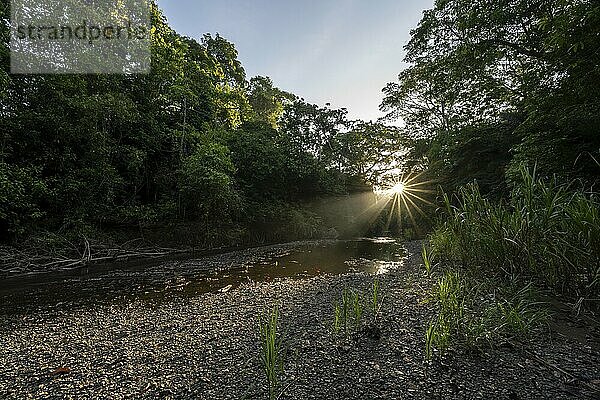 Stimmungsvolles Morgenlicht mit Sonnenstern an einem Bach im tropischen Regenwald  Corcovado Nationalpark  Osa Halbinsel  Provinz Puntarena  Costa Rica  Mittelamerika