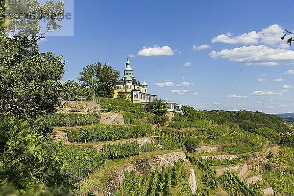 Weingut am Goldenen Wagen. Das Spitzhaus ist ein ehemaliges Lusthaus in der sächsischen Stadt Radebeul. Das weithin sichtbare Gebäude liegt auf der Hangkante des Elbtalkessels über der Hoflößnitz im Stadtteil Oberlößnitz. Das denkmalgeschützte (1) Wahrzeichen Radebeuls in der Spitzhausstraße 36 dient auch nach der Sanierung und Wiedereröffnung im Jahr 1997 als Ausflugsgaststätte mit einem weiten Ausblick über das Elbtal und bis nach Dresden.  Weinhänge in Radebeul  Radebeul  Sachsen  Deutschland  Europa