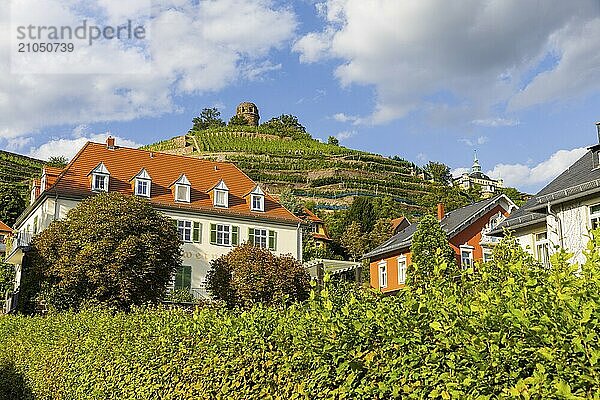 Weingut am Goldenen Wagen. Das Spitzhaus ist ein ehemaliges Lusthaus in der sächsischen Stadt Radebeul. Das weithin sichtbare Gebäude liegt auf der Hangkante des Elbtalkessels über der Hoflößnitz im Stadtteil Oberlößnitz. Das denkmalgeschützte (1) Wahrzeichen Radebeuls in der Spitzhausstraße 36 dient auch nach der Sanierung und Wiedereröffnung im Jahr 1997 als Ausflugsgaststätte mit einem weiten Ausblick über das Elbtal und bis nach Dresden.  Weinhänge in Radebeul  Radebeul  Sachsen  Deutschland  Europa