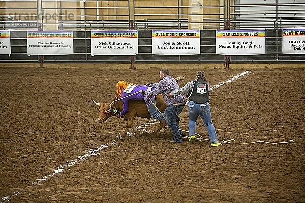 Oklahoma City  Oklahoma  The Great Plains Rodeo  ein jährlich stattfindendes Rodeo für Schwule  bei dem traditionelle Rodeowettbewerbe stattfinden und gleichzeitig die Kameradschaft der LGBTQ Gemeinschaft betont wird. Beim Wild Drag Racing müssen drei Personen einen Ochsen über eine Linie ziehen und der Teilnehmer im Schlepptau muß ihn dann wieder über die Linie reiten