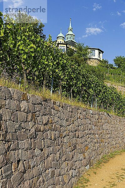 Weingut am Goldenen Wagen. Das Spitzhaus ist ein ehemaliges Lusthaus in der sächsischen Stadt Radebeul. Das weithin sichtbare Gebäude liegt auf der Hangkante des Elbtalkessels über der Hoflößnitz im Stadtteil Oberlößnitz. Das denkmalgeschützte (1) Wahrzeichen Radebeuls in der Spitzhausstraße 36 dient auch nach der Sanierung und Wiedereröffnung im Jahr 1997 als Ausflugsgaststätte mit einem weiten Ausblick über das Elbtal und bis nach Dresden.  Weinhänge in Radebeul  Radebeul  Sachsen  Deutschland  Europa