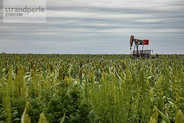 Hugoton  Kansas  Eine Ölquelle auf dem Feld eines Bauern im Südwesten von Kansas