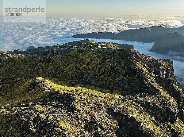 Luftaufnahme am Pico do Arieiro von Bergen über Wolken mit blühenden Cytisus Sträuchern bei Sonnenuntergang mit Sonnenaufgang. Insel Madeira  Portugal  Europa