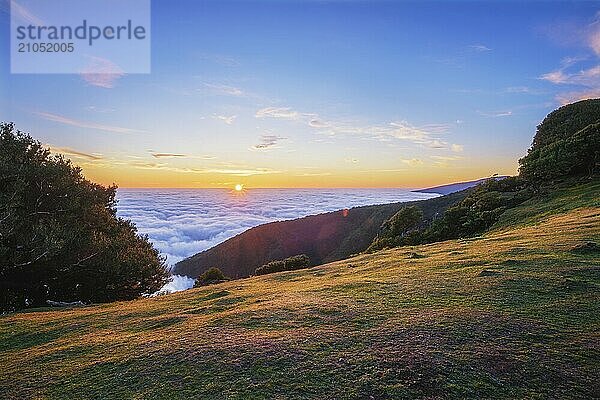 Sonnenaufgang über Wolken und grünen Hügeln am Berg Fanal  Insel Madeira  Portugal  Europa