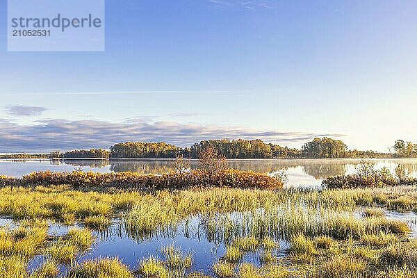 Landschaftliche Ansicht eines Seeufers in einem Feuchtgebiet mit schönen Herbstfarben an einem stillen Herbstmorgen in der nordischen Wildnis  Schweden  Europa