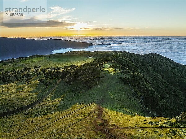 Luftaufnahme des idyllischen Fanal Laurisilva Waldes mit jahrhundertealten Kachelbäumen über den Wolken bei Sonnenuntergang. Insel Madeira  Portugal  Europa