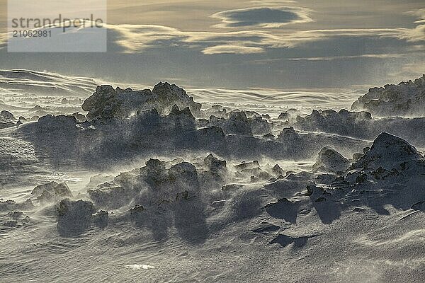 Erstarrte Lava und Steine im Schneesturm  windig  sonnig  Gegenlicht  Myvatn  Island  Europa