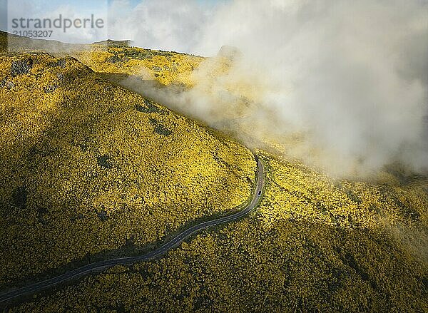 Luftaufnahme einer Straße zwischen gelb blühenden Cytisus Sträuchern in der Nähe von Pico do Arieiro  Portugal in Wolken