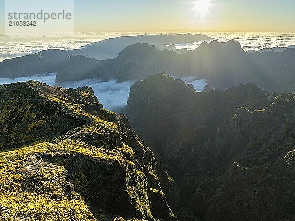 Luftaufnahme am Pico do Arieiro von Bergen über Wolken mit blühenden Cytisus Sträuchern bei Sonnenuntergang mit Sonnenaufgang. Insel Madeira  Portugal  Europa