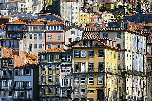 Blick auf traditionelle  bunte portugiesische Häuser in der Stadt Porto  Portugal  Europa