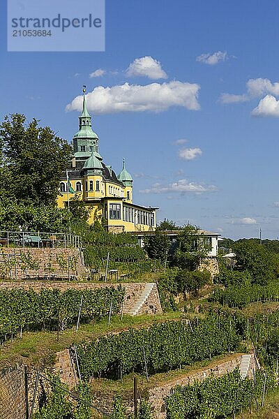 Weingut am Goldenen Wagen. Das Spitzhaus ist ein ehemaliges Lusthaus in der sächsischen Stadt Radebeul. Das weithin sichtbare Gebäude liegt auf der Hangkante des Elbtalkessels über der Hoflößnitz im Stadtteil Oberlößnitz. Das denkmalgeschützte (1) Wahrzeichen Radebeuls in der Spitzhausstraße 36 dient auch nach der Sanierung und Wiedereröffnung im Jahr 1997 als Ausflugsgaststätte mit einem weiten Ausblick über das Elbtal und bis nach Dresden.  Weinhänge in Radebeul  Radebeul  Sachsen  Deutschland  Europa