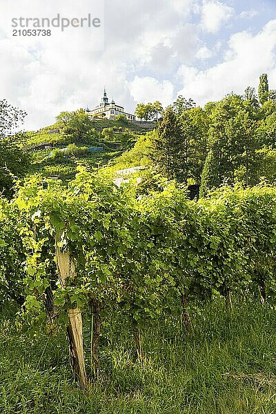 Weingut am Goldenen Wagen. Das Spitzhaus ist ein ehemaliges Lusthaus in der sächsischen Stadt Radebeul. Das weithin sichtbare Gebäude liegt auf der Hangkante des Elbtalkessels über der Hoflößnitz im Stadtteil Oberlößnitz. Das denkmalgeschützte (1) Wahrzeichen Radebeuls in der Spitzhausstraße 36 dient auch nach der Sanierung und Wiedereröffnung im Jahr 1997 als Ausflugsgaststätte mit einem weiten Ausblick über das Elbtal und bis nach Dresden.  Weinhänge in Radebeul  Radebeul  Sachsen  Deutschland  Europa