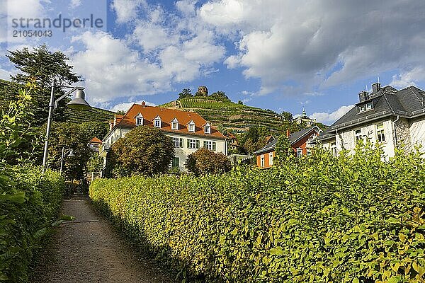 Weingut am Goldenen Wagen. Das Spitzhaus ist ein ehemaliges Lusthaus in der sächsischen Stadt Radebeul. Das weithin sichtbare Gebäude liegt auf der Hangkante des Elbtalkessels über der Hoflößnitz im Stadtteil Oberlößnitz. Das denkmalgeschützte (1) Wahrzeichen Radebeuls in der Spitzhausstraße 36 dient auch nach der Sanierung und Wiedereröffnung im Jahr 1997 als Ausflugsgaststätte mit einem weiten Ausblick über das Elbtal und bis nach Dresden.  Weinhänge in Radebeul  Radebeul  Sachsen  Deutschland  Europa