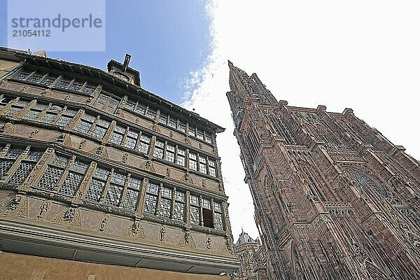 Fachwerkhaus Maison Kammerzell erbaut 1427 und gotisches UNESCO  Straßburger  Liebfrauenmünster  Cathédrale  Notre-Dame  Münster  Münsterplatz  Blick nach oben  Freisteller  Grande Île  Strasbourg  Bas-Rhin  Elsass  Frankreich  Europa