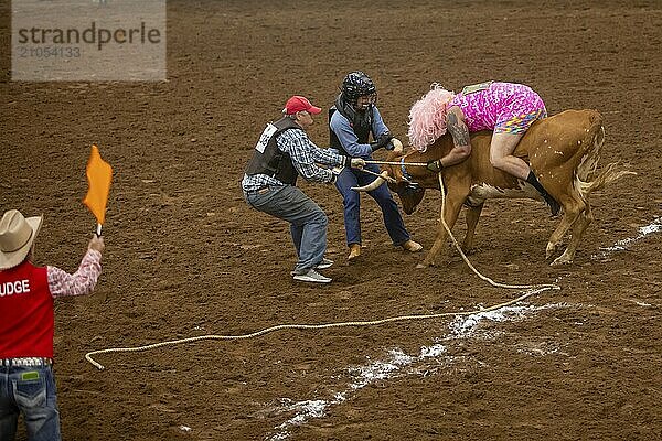 Oklahoma City  Oklahoma  The Great Plains Rodeo  ein jährlich stattfindendes Rodeo für Schwule  bei dem traditionelle Rodeowettbewerbe stattfinden und gleichzeitig die Kameradschaft der LGBTQ Gemeinschaft betont wird. Beim Wild Drag Racing müssen drei Personen einen Ochsen über eine Linie ziehen und der Teilnehmer im Schlepptau muß ihn dann wieder über die Linie reiten