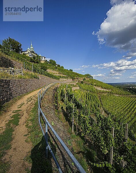 Weingut am Goldenen Wagen. Das Spitzhaus ist ein ehemaliges Lusthaus in der sächsischen Stadt Radebeul. Das weithin sichtbare Gebäude liegt auf der Hangkante des Elbtalkessels über der Hoflößnitz im Stadtteil Oberlößnitz. Das denkmalgeschützte (1) Wahrzeichen Radebeuls in der Spitzhausstraße 36 dient auch nach der Sanierung und Wiedereröffnung im Jahr 1997 als Ausflugsgaststätte mit einem weiten Ausblick über das Elbtal und bis nach Dresden.  Weinhänge in Radebeul  Radebeul  Sachsen  Deutschland  Europa