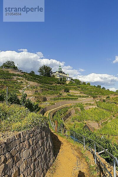 Weingut am Goldenen Wagen. Das Spitzhaus ist ein ehemaliges Lusthaus in der sächsischen Stadt Radebeul. Das weithin sichtbare Gebäude liegt auf der Hangkante des Elbtalkessels über der Hoflößnitz im Stadtteil Oberlößnitz. Das denkmalgeschützte (1) Wahrzeichen Radebeuls in der Spitzhausstraße 36 dient auch nach der Sanierung und Wiedereröffnung im Jahr 1997 als Ausflugsgaststätte mit einem weiten Ausblick über das Elbtal und bis nach Dresden.  Weinhänge in Radebeul  Radebeul  Sachsen  Deutschland  Europa