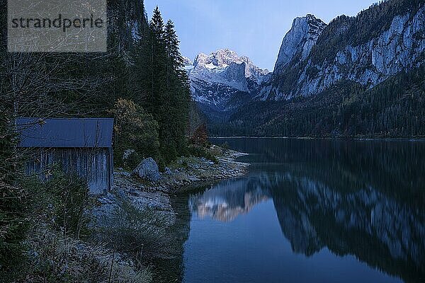 Der Vordere Gosausee im Herbst mit Blick auf das Gebirge des Dachstein. Rechts der Gosaukamm. Gutes Wetter  blauer Himmel. Abends  nach Sonnenuntergang. Spiegelung. Links eine kleine Holzhütte. Vorderer Gosausee  Gosau  Gosautal  Salzkammergut  Oberösterreich  Österreich  Europa