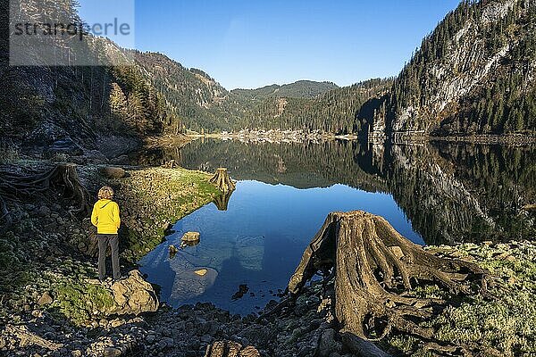 Der Vordere Gosausee im Herbst mit Blick auf den Gasthof Gosausee. Eine Wanderin steht am See. Rechts ein Baumstumpf. Spiegelung. Blauer Himmel  gutes Wetter. Vorderer Gosausee  Gosau  Gosautal  Salzkammergut  Oberösterreich  Österreich  Europa