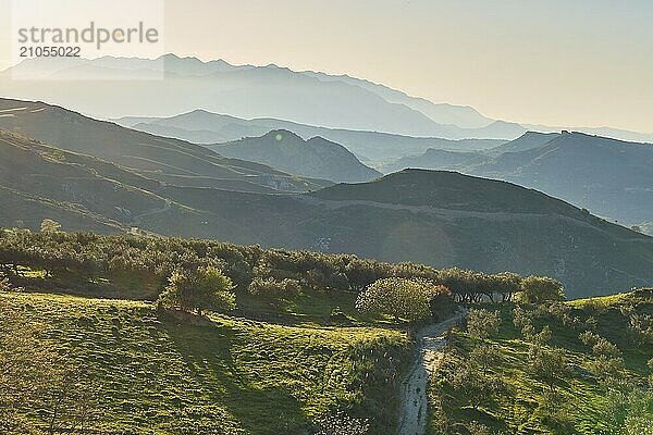 Hügelige Frühlings Landschaft mit Bäumen im Gegenlicht am Spätnachmittag  Berge im Hintergrund  Lefka Ori  Weiße Berge  Gebirgsmassiv  Westen  Kreta  Griechenland  Europa