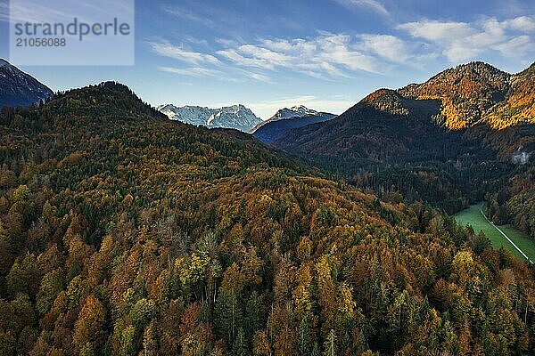 Luftaufnahme von herbstlich verfärbtem Wald vor Bergen im Morgenlicht  Blick auf Zugspitze  Alpenvorland  Oberbayern  Bayern  Deutschland  Europa