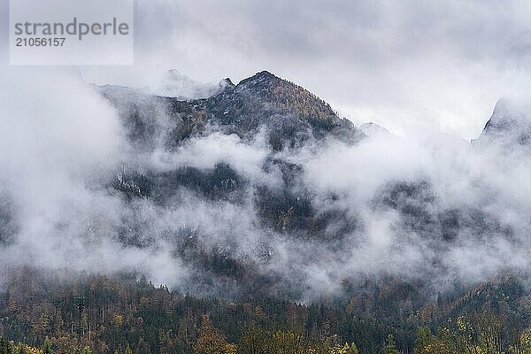 Blick von Oberscheffau auf einen Teil des Tennengebirges. Die Berge sind wolkenverhangen. Herbst. Salzburger Land  Oberösterreich  Österreich  Europa