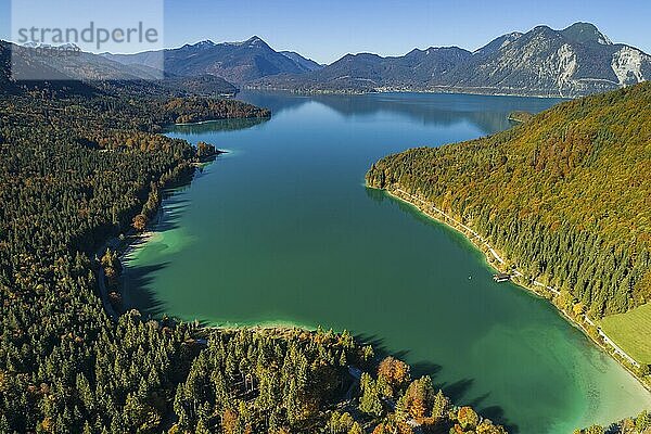 Luftaufnahme eines Bergsees und von herbstlich verfärbten Bäumen im Morgenlicht  Walchensee  Blick auf Simetsberg  Heimgarten  Herzogstand  Oberbayern  Bayern  Deutschland  Europa