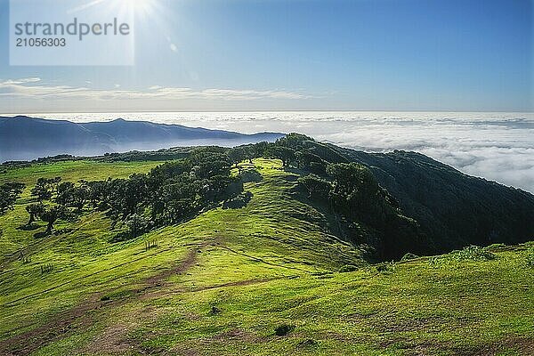 Luftaufnahme des idyllischen Fanal Laurisilva Waldes mit jahrhundertealten Kachelbäumen über den Wolken. Insel Madeira  Portugal  Europa