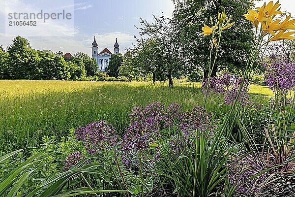 Bunte Blumen vor den Kirchtürmen eines Klosters im Gegenlicht  Frühling  sonnig  Kloster Schlehdorf  Schlehdorf  Bayern  Deutschland  Europa