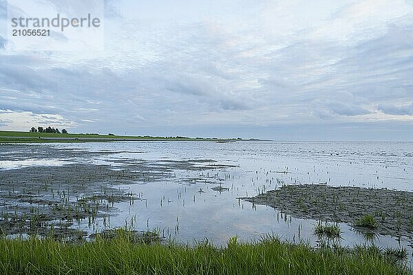 Ebbe an der Nordsee  Abendlicht  Nationalpark Niedersächsisches Wattenmeer  Norddeich  Ostfriesland  Niedersachsen  Deutschland  Europa