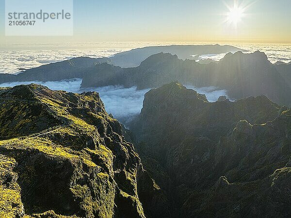 Luftaufnahme am Pico do Arieiro von Bergen über Wolken mit blühenden Cytisus Sträuchern bei Sonnenuntergang mit Sonnenaufgang. Insel Madeira  Portugal  Europa